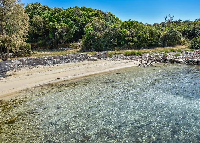 House Vakantiehuis *